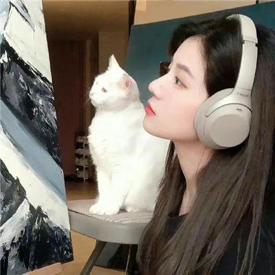 陈辰全明星